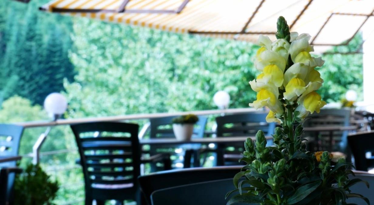 Hotel Cafe Waldeck فوستينرُت المظهر الخارجي الصورة